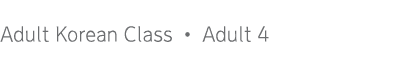 Adult Korean Class   Adult 4